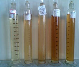 新疆理化所 高端酯類系列潤(rùn)滑油研制 項(xiàng)目通過(guò)驗(yàn)收