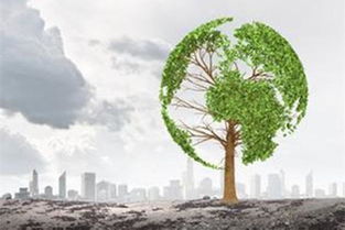 發布實施方案 今年新疆將啟動生態環境損害賠償制度改革試行工作