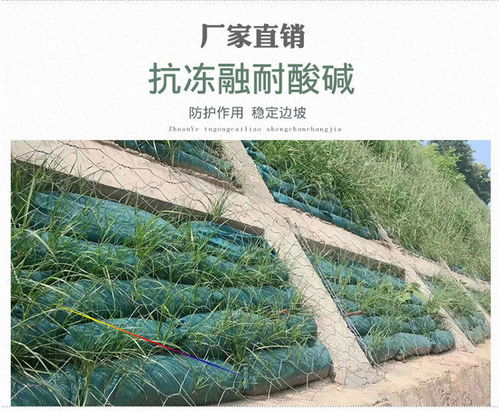 探索新疆烏魯木齊環保生態袋的價格與價值